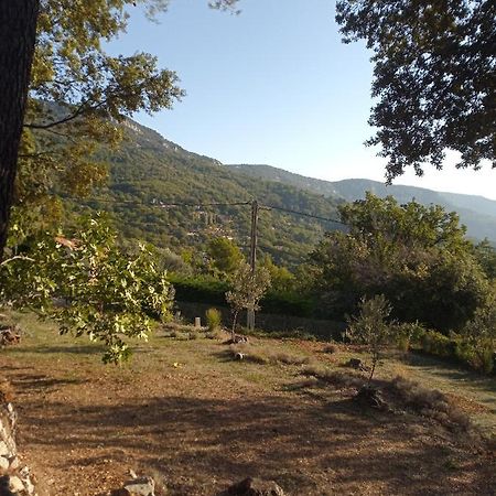 Villa La Bergerie Bargemon Esterno foto